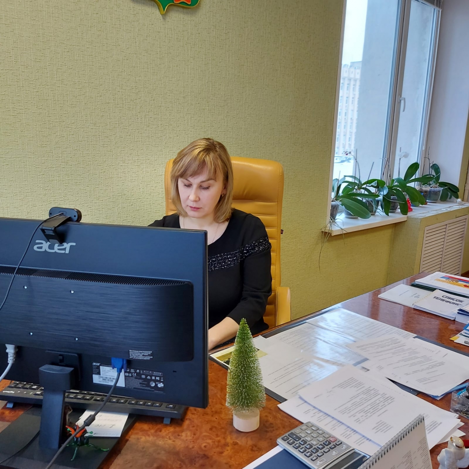 Заседание Координационного совета уполномоченных по правам человека в субъектах Российской Федерации Приволжского федерального округа в режиме видеосвязи